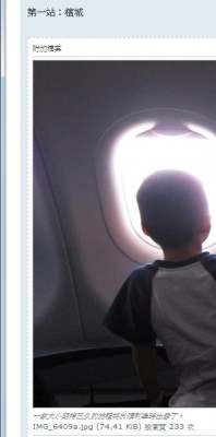 上傳附加檔案的檔案註釋的字體該要如何才能不斜體呢?